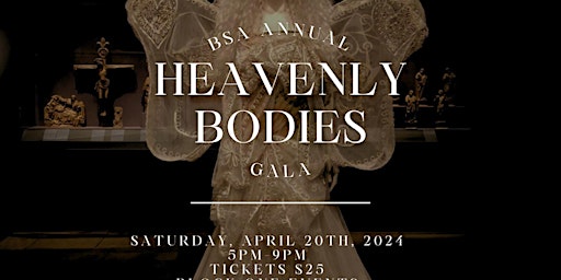 Imagem principal do evento BSA MET GALA: Heavenly Bodies