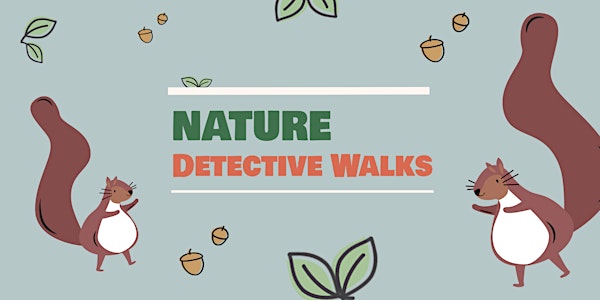 Nature Detective Walk: Rünenberg Honigweg
