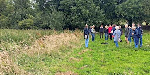 An Upper Thames Guided Walk at Paices Wood Country Park, led by Hilary Glew