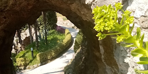 Immagine principale di La primavera in giardino: c'è sempre qualcosa di nuovo 