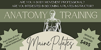Primaire afbeelding van Anatomy for Movement Professionals