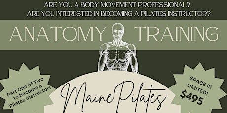 Anatomy for Movement Professionals