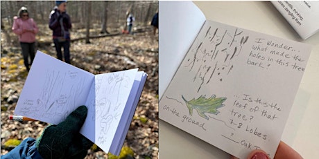 Nature Journaling: A Professional Development Workshop for K-12 Educators