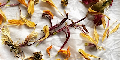 Imagem principal de Natural Botanical Dye with Wildflowers (Mothers Day Weekend)