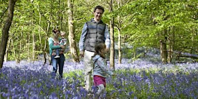 Hauptbild für Easter Holidays: Bluebell Walk