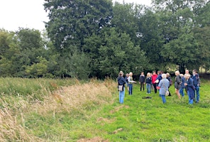 An Upper Thames Branch Guided Walk at Bernwood Meadows, led by Peter Philp primary image