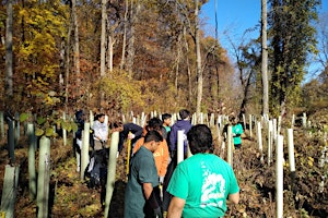 Saturday 5/18 Volunteer Native Tree & Shrub Planting - Dobbs Ferry primary image