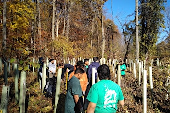 Saturday 5/18 Volunteer Native Tree & Shrub Planting - Dobbs Ferry