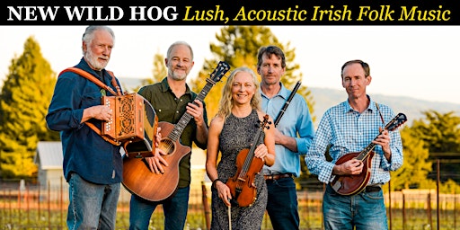 Primaire afbeelding van New Wild Hog  - Lush, Acoustic Irish Folk Music