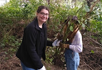 Sunday 4/28 Volunteer Invasive Bush Removal - Dobbs Ferry Juhring Preserve