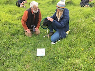 An Upper Thames identification session at Bradenham, led by Nick Bowles