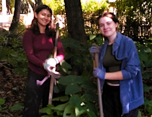 Sunday 5/19 Volunteer Invasive Bush Removal - Dobbs Ferry Juhring Preserve