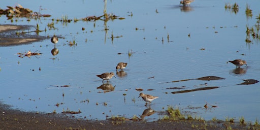 Primaire afbeelding van Nature Photography