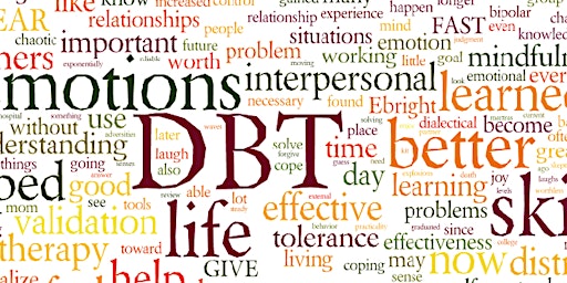 An Introduction to DBT Skills for Therapists. primary image