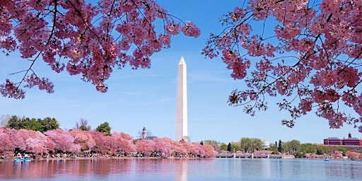 Imagem principal do evento 11.4  סיור מודרך : סודות הבית לבן, המול הלאומי והאנדרטאות של וושינגטון