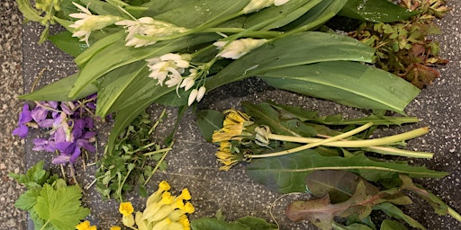 Hauptbild für Foraging walk for beginners