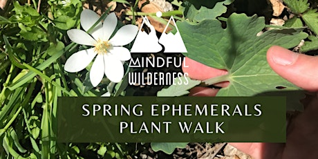 Spring Ephemerals Plant Walk