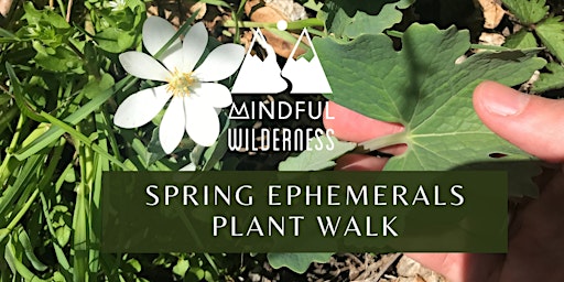 Hauptbild für Spring Ephemerals Plant Walk