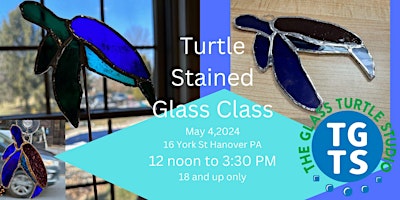 Primaire afbeelding van Turtle Stained Glass Class- Beginner