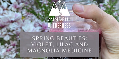 Primaire afbeelding van Spring Beauties: Violet, Lilac and Magnolia Medicine