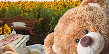 Pot & Paint A Sunflower - Teddy Bear Picnic Activity