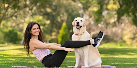 Bark Camp - Los Angeles