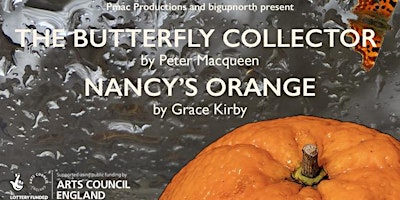 THE BUTTERFLY COLLECTOR and NANCY'S ORANGE primary image