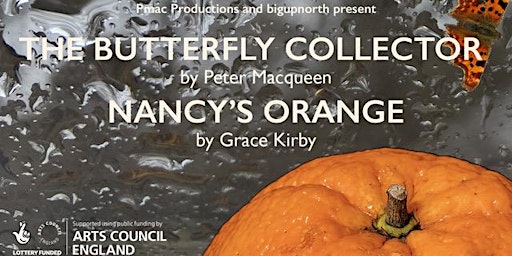 THE BUTTERFLY COLLECTOR and NANCY'S ORANGE  primärbild
