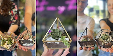 Mini Terrarium x Plant & Pour!