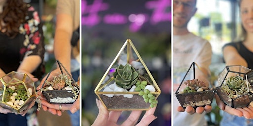 Imagen principal de Mini Terrarium x Plant & Pour!