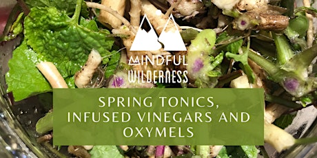Spring Tonics, Infused Vinegars and Oxymels