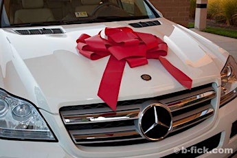 Crim Region Mercedes Benz Celebration primary image