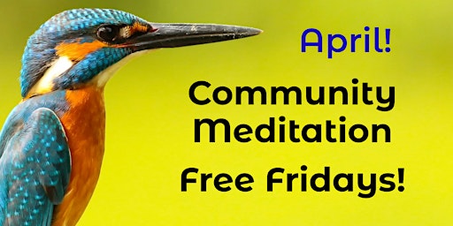 Community Meditation primary image