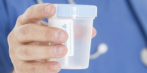 Immagine principale di DOT Urine Drug Collector Training 