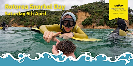Rotoroa Island Snorkel Day primary image