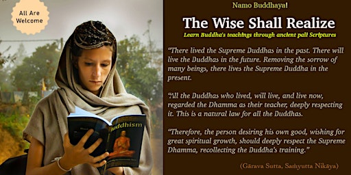 The Wise Shall Realize :: Study Buddhism With Sutta Dharma primary image