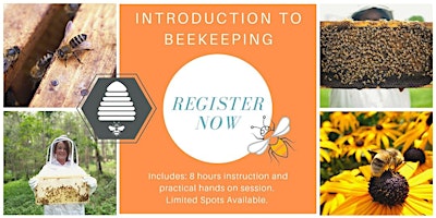 Hauptbild für Introduction to Beekeeping class 8th & 9th June 2024  - for 15yrs+.