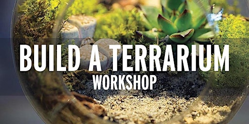 Imagem principal do evento Build a Terrarium Workshop