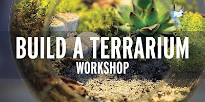 Imagen principal de Build a Terrarium Workshop