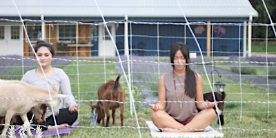 Primaire afbeelding van Goat Yoga at Battlefield Lavender - Centralia, MO