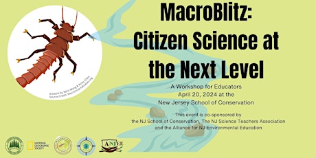 MacroBlitz: Citizen Science at the Next Level