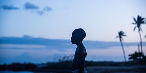 Primaire afbeelding van MOONLIGHT  (2016)