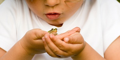 Hauptbild für Frogs and Friends, Family Program, $4 per person upon arrival