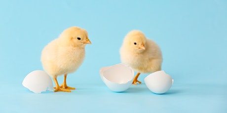 Who's Hatching?: Tiny Tots (Ages 3-5), $4 per child upon arrival