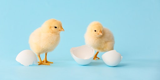 Who's Hatching?: Tiny Tots (Ages 3-5), $4 per child upon arrival primary image