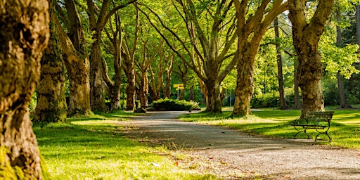 Immagine principale di GSC Summer Park Trail Walk 