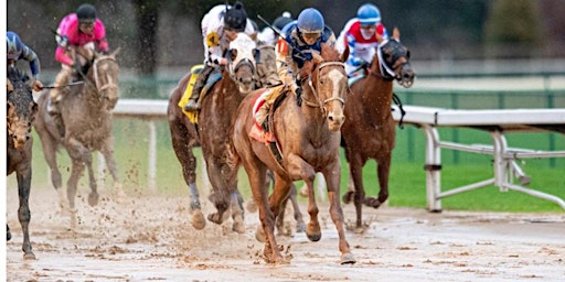 Tippecanoe Football Derby Dash primary image