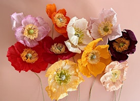 Imagem principal de Paper poppy flower making workshop