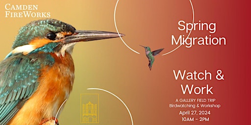Imagem principal do evento Spring Migration Watch & Work