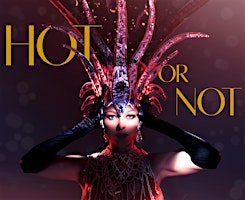 HOT OR NOT primary image